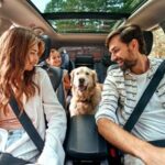 verificari masina inainte de drum lung